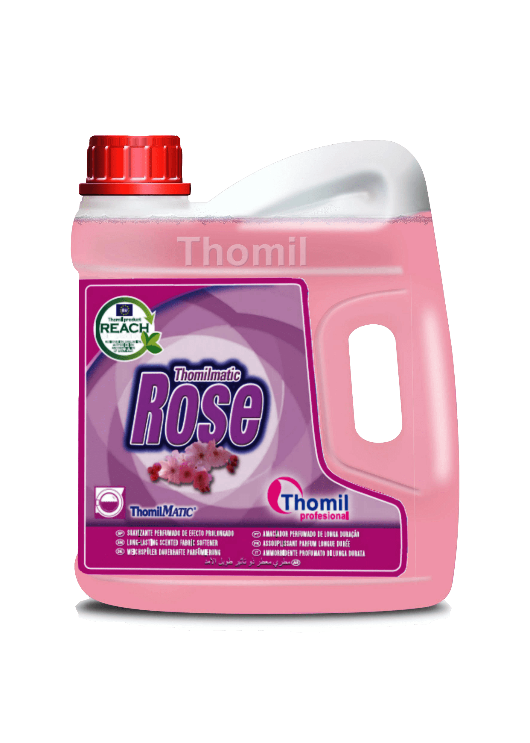 Thomilmatic Rose